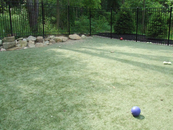 Outdoor K9 Courtyard